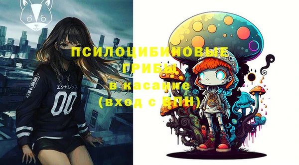 СК Абинск