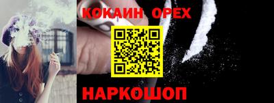 spice Камышлов