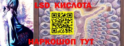 spice Камышлов