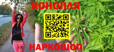 spice Камышлов