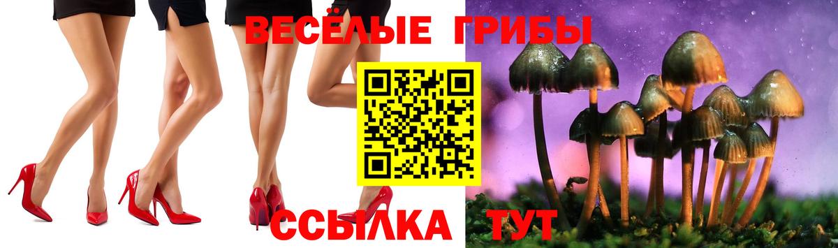 Псилоцибиновые грибы Magic Shrooms Красный Сулин